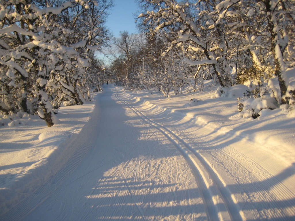 Skidor i tänndalen