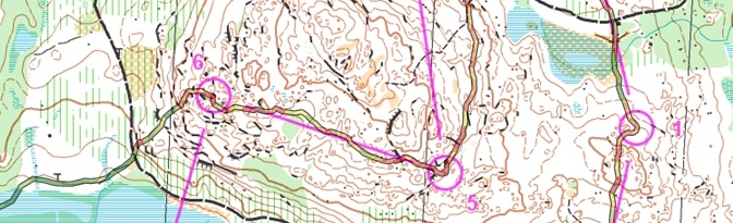 Juniorcupen Dalarna Lång