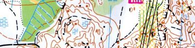 Luffarnas långdistans