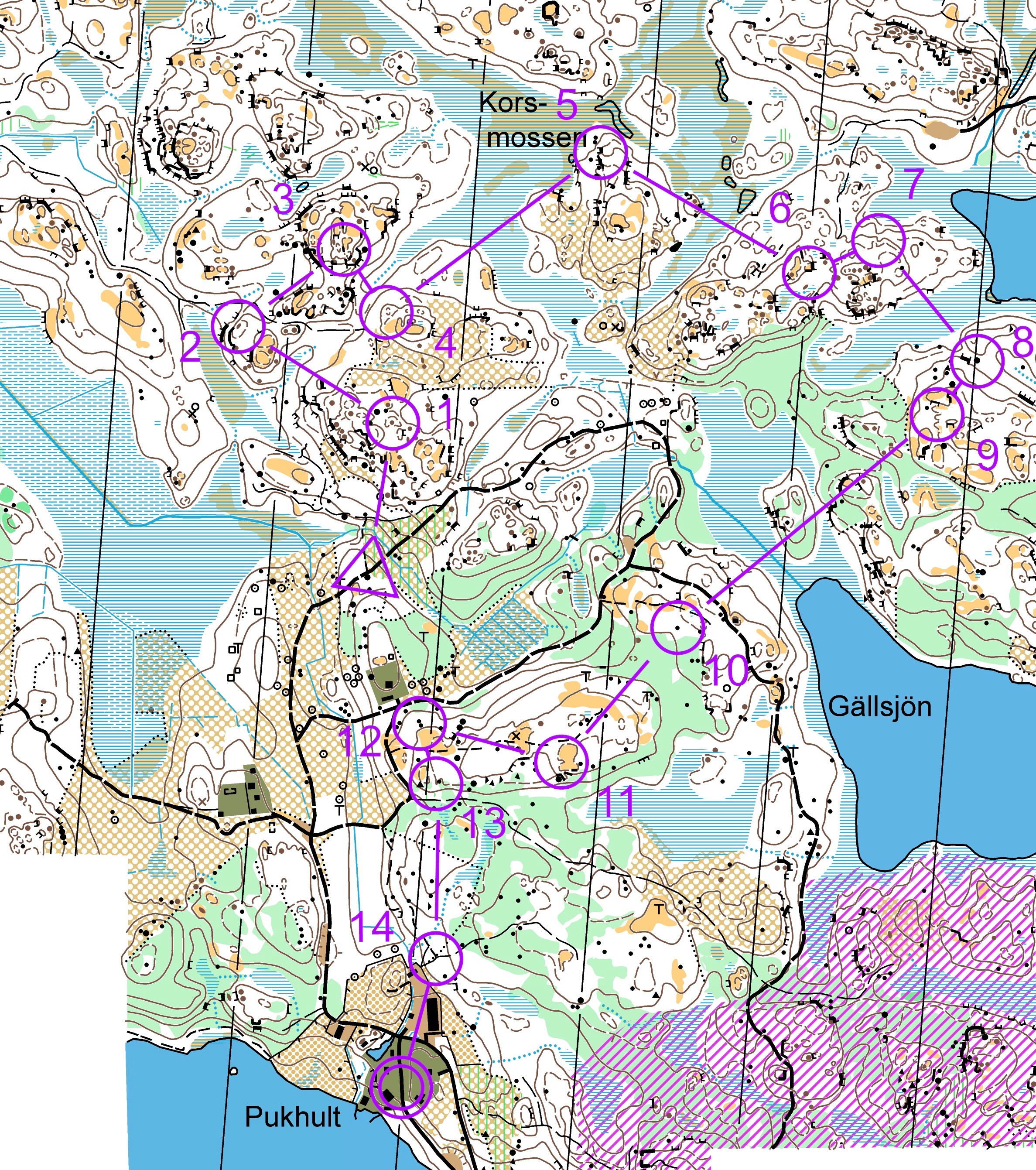 Stjärnorpsmedeln (04.08.2017)