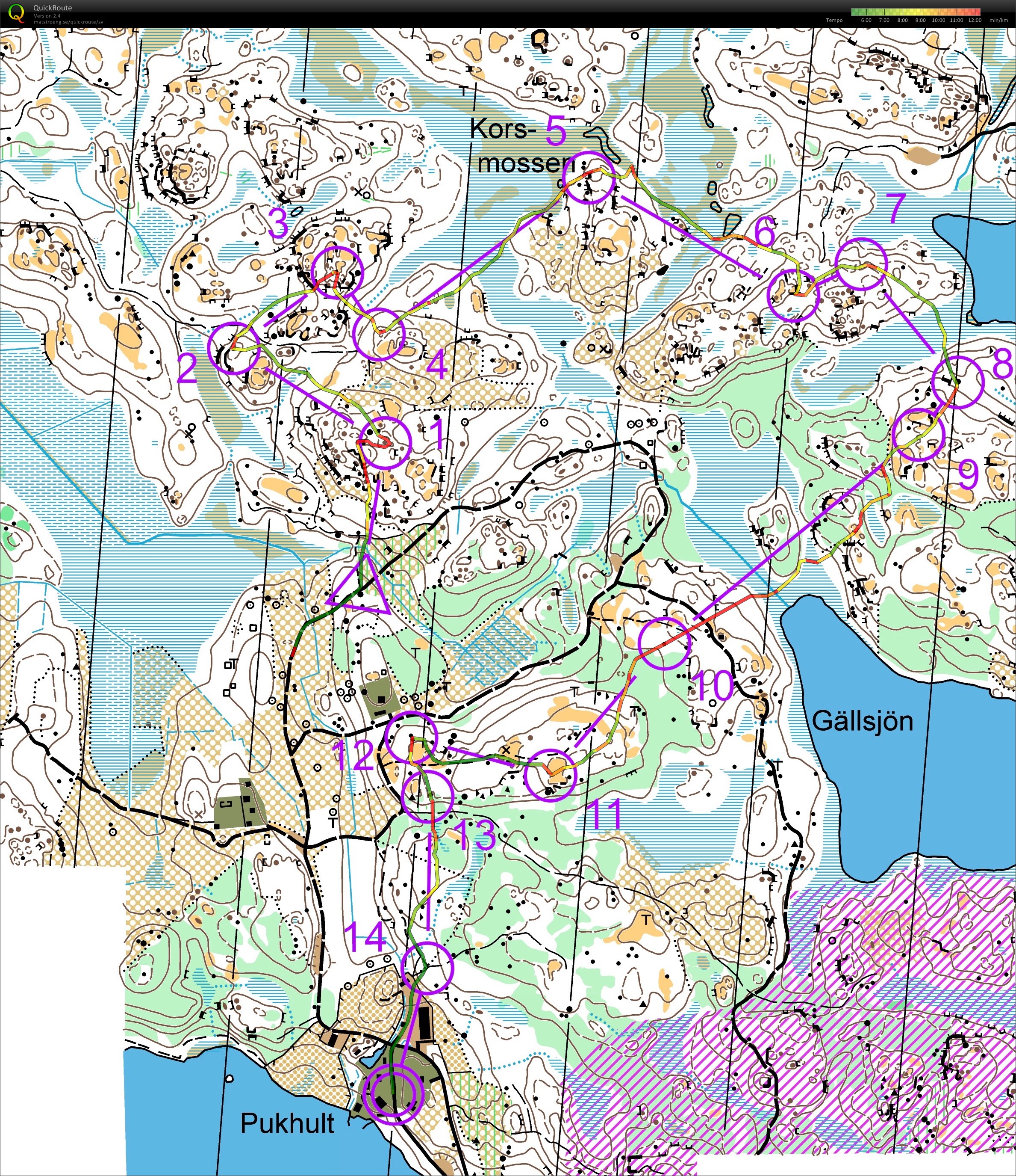 Stjärnorpsmedeln (04-08-2017)