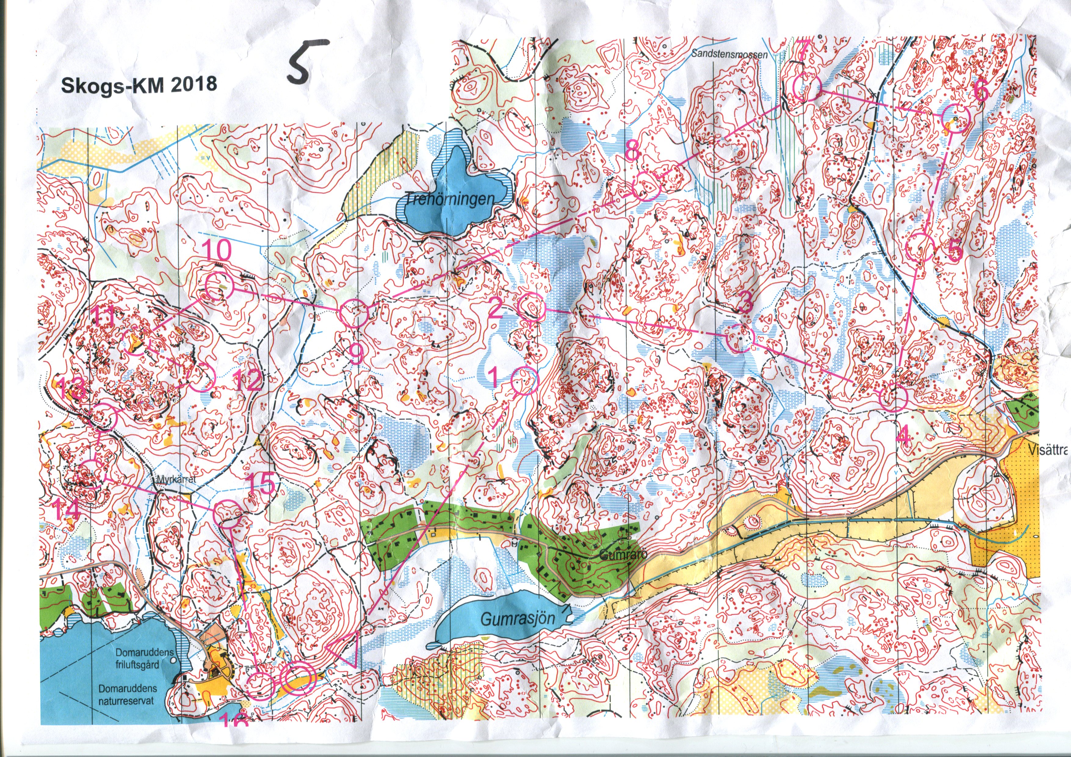 Skogs KM (09.06.2018)