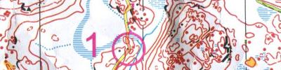 Skogs KM