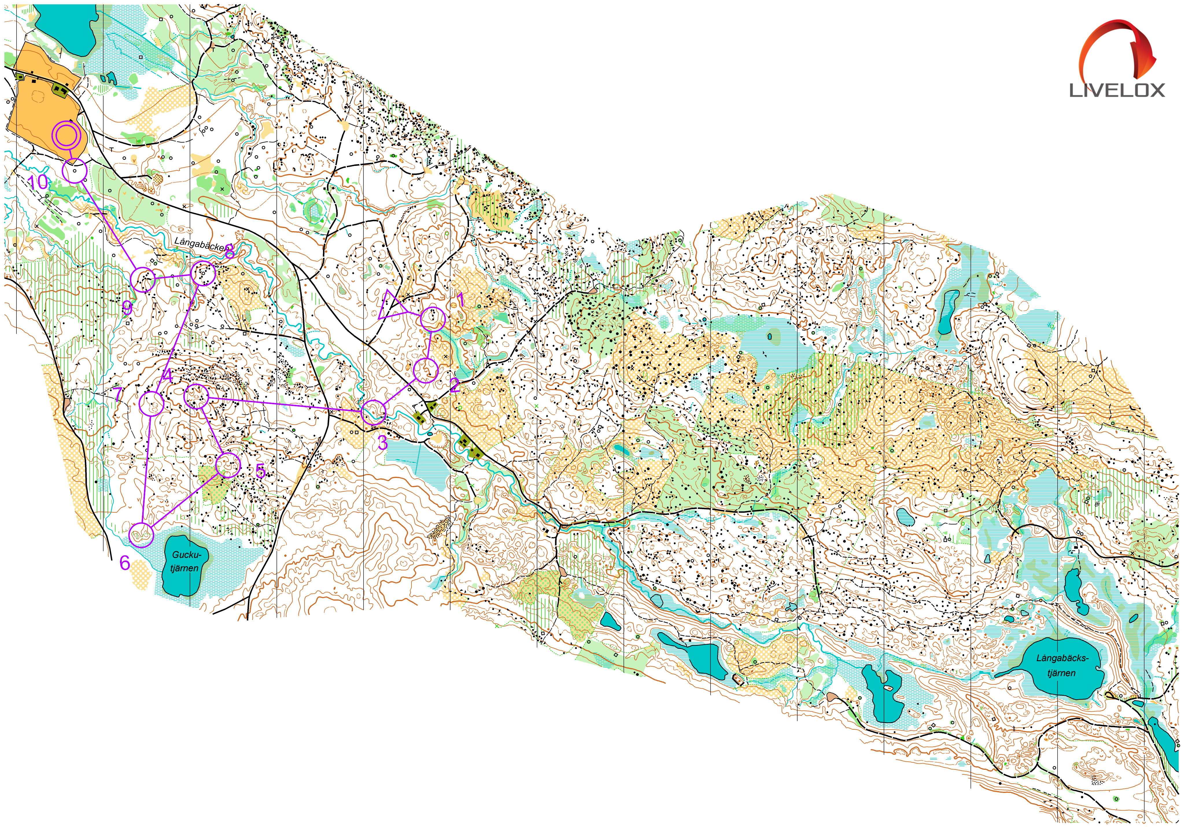 Alftaträffen lång (06.06.2019)