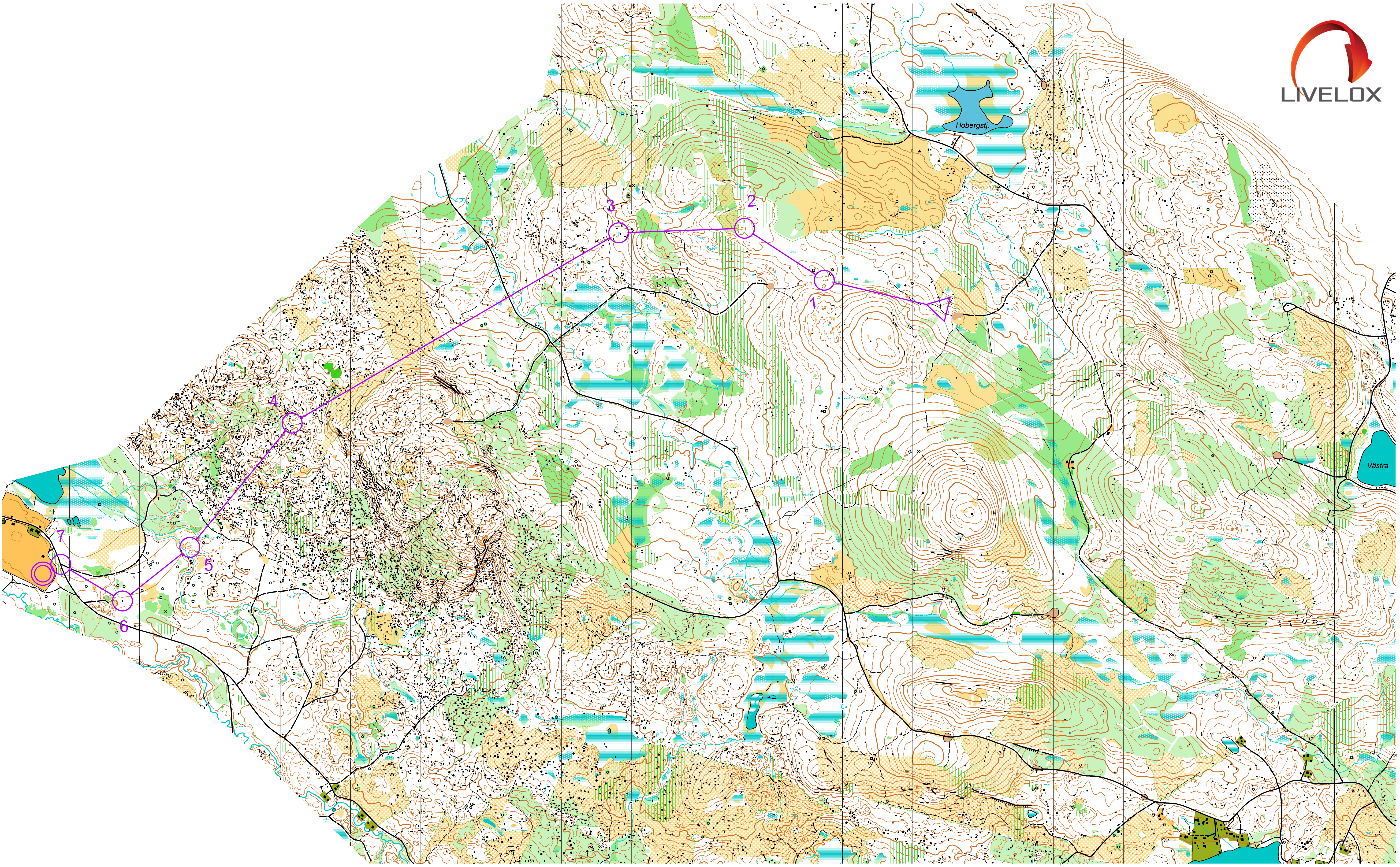 Alftaträffen lång (08/06/2019)