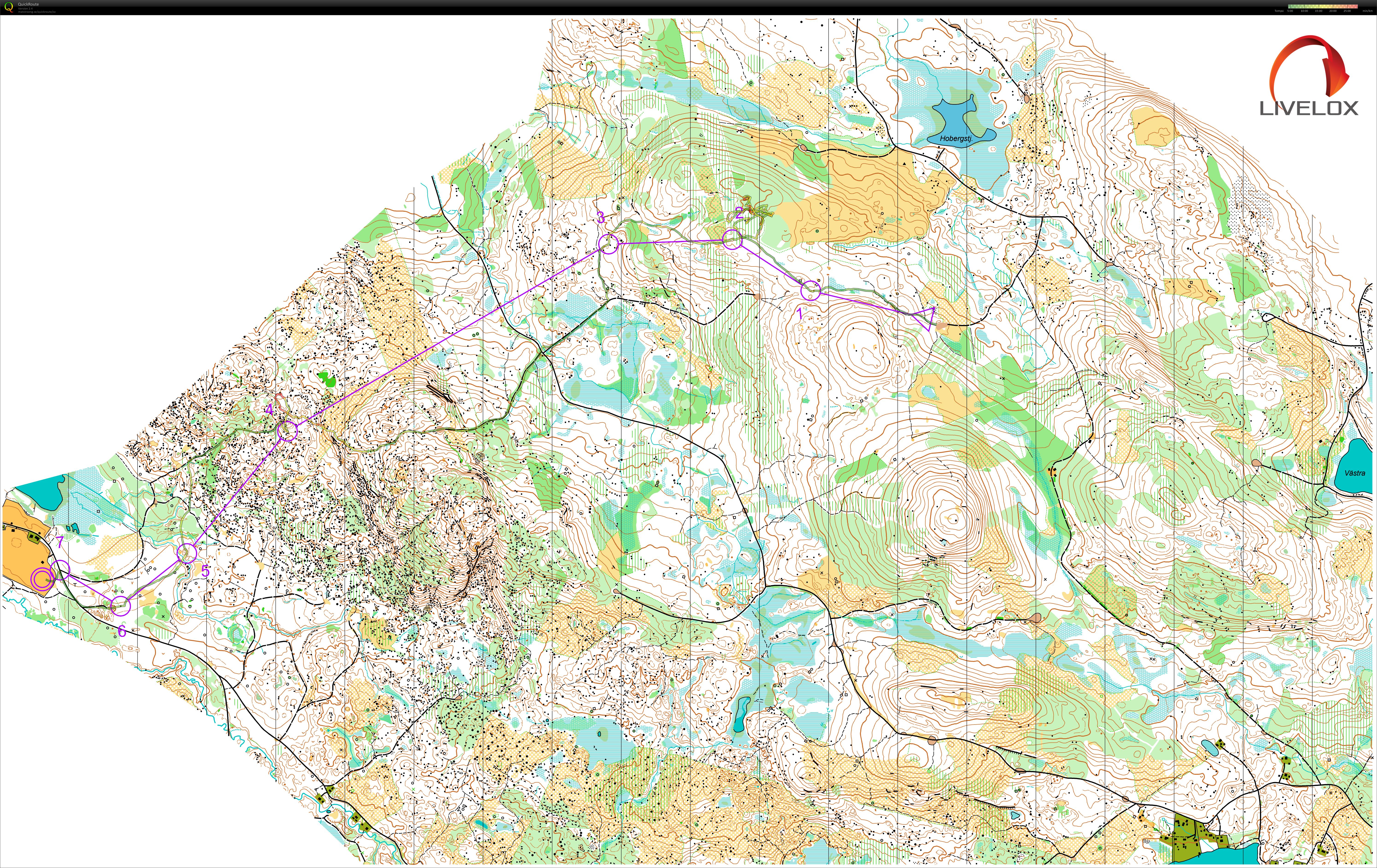 Alftaträffen lång (08.06.2019)