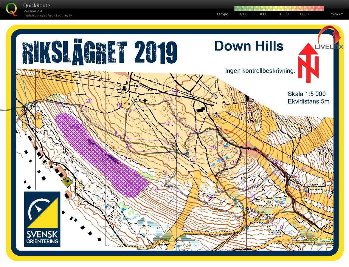 Idre Downhill (2019-06-26)