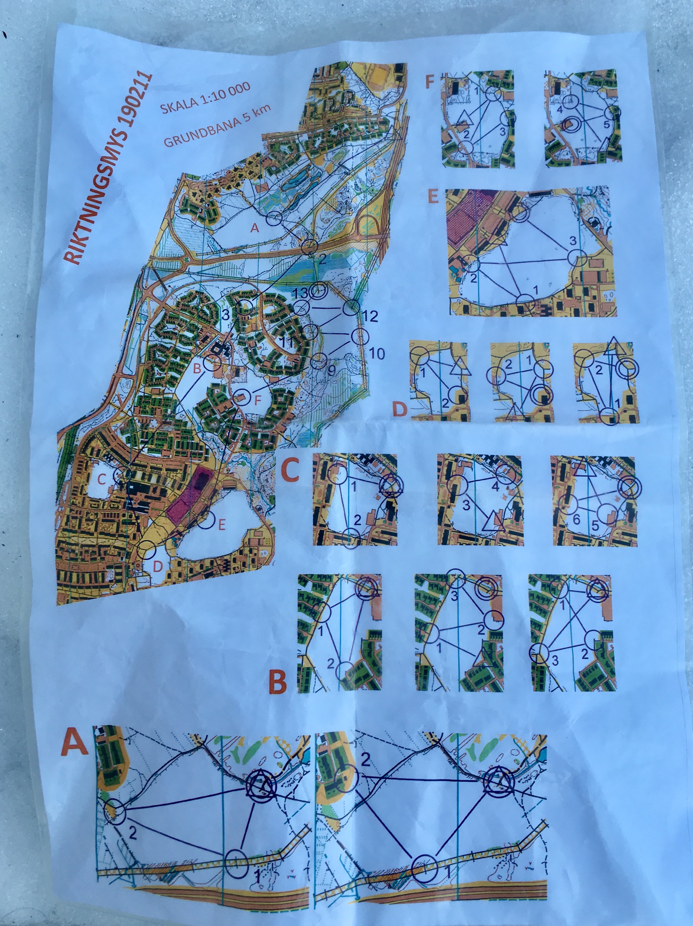 Riktningsträning Torvalla (2019-02-11)