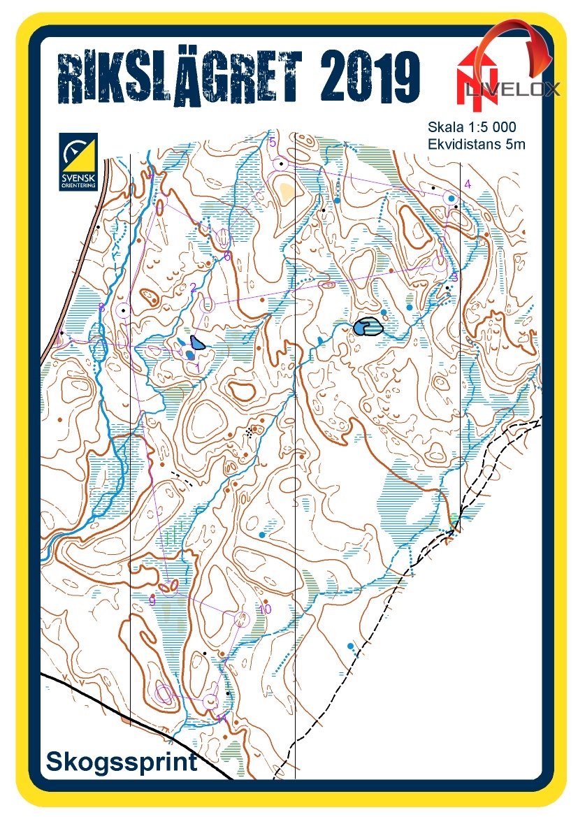 Rikslägret #6 Skogssprint (2019-06-26)