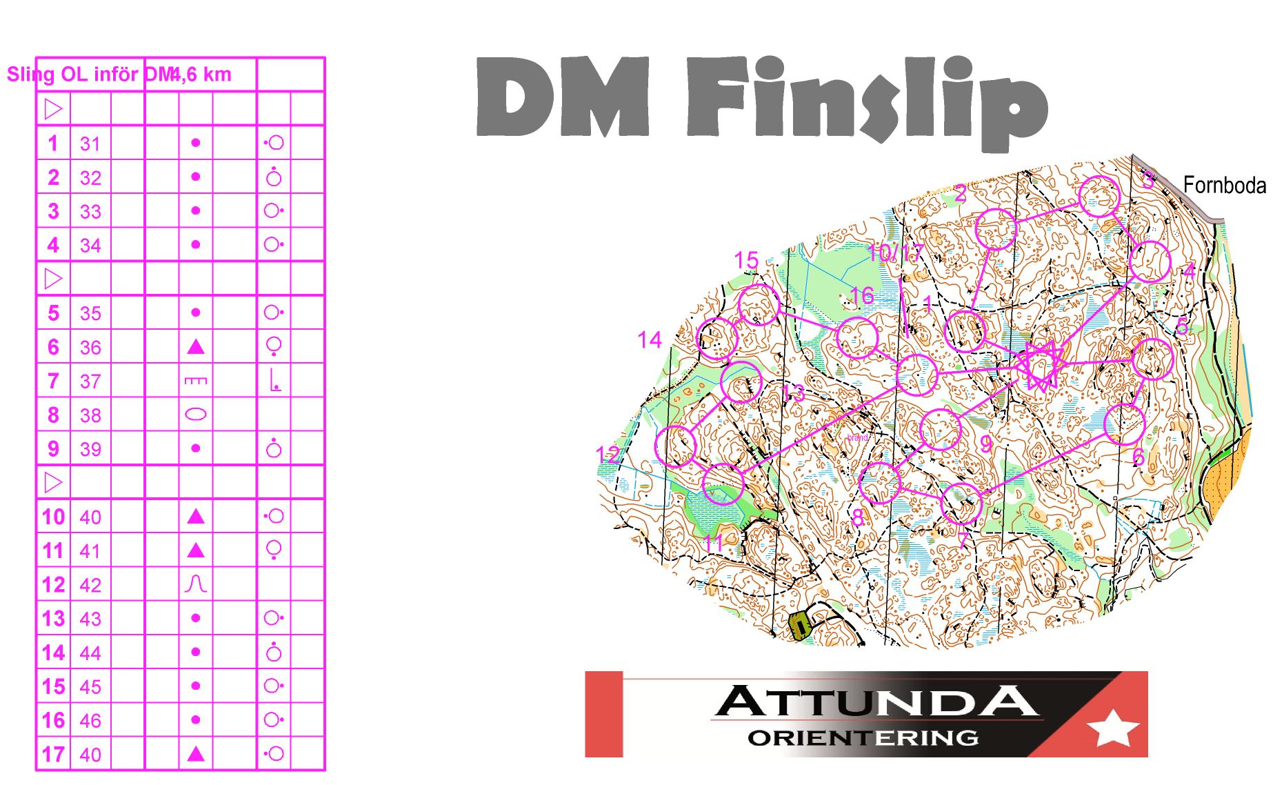 DM Finslip (05-09-2013)