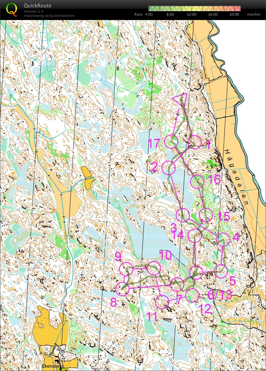 DM Finslip 2 (10.09.2013)