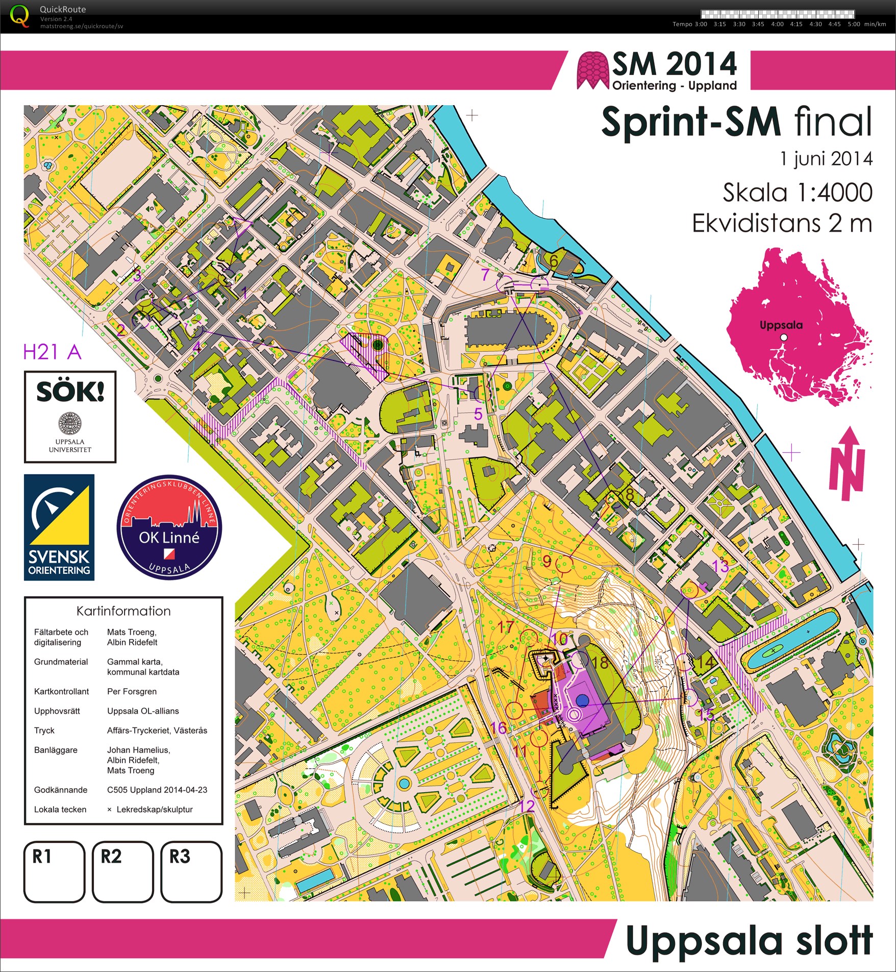 Sprint-SM final (31-05-2014)