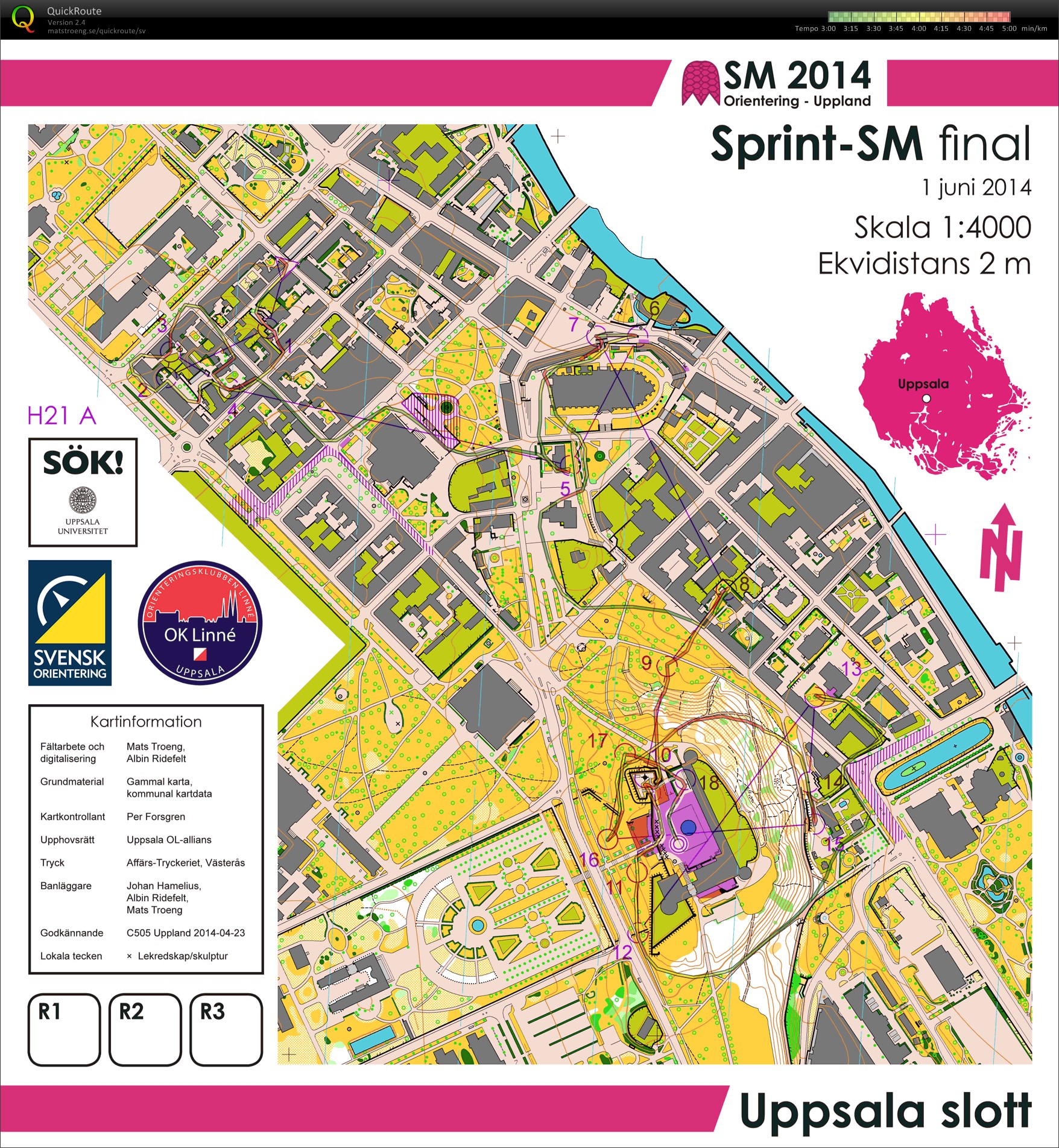 Sprint-SM final (31-05-2014)