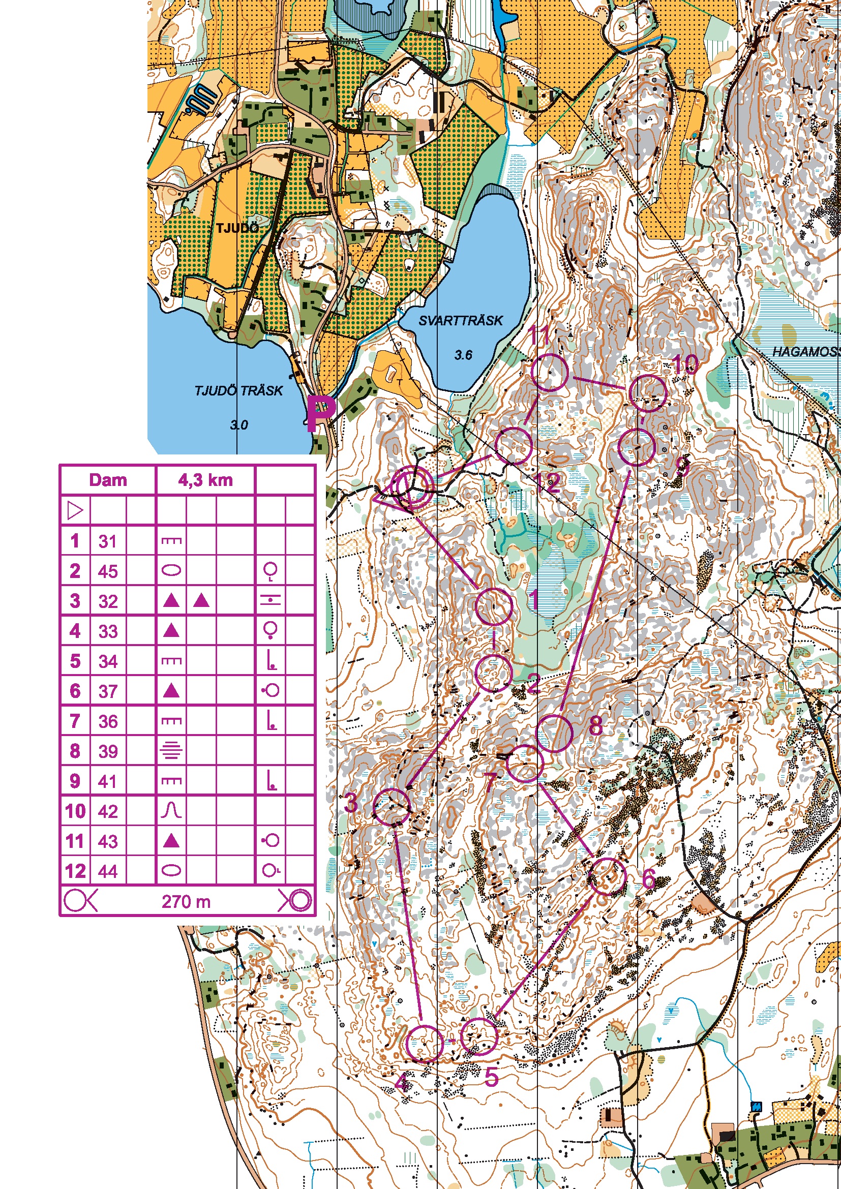 Pass 3 olgy-läger "Lägermästerskap" (2015-05-31)