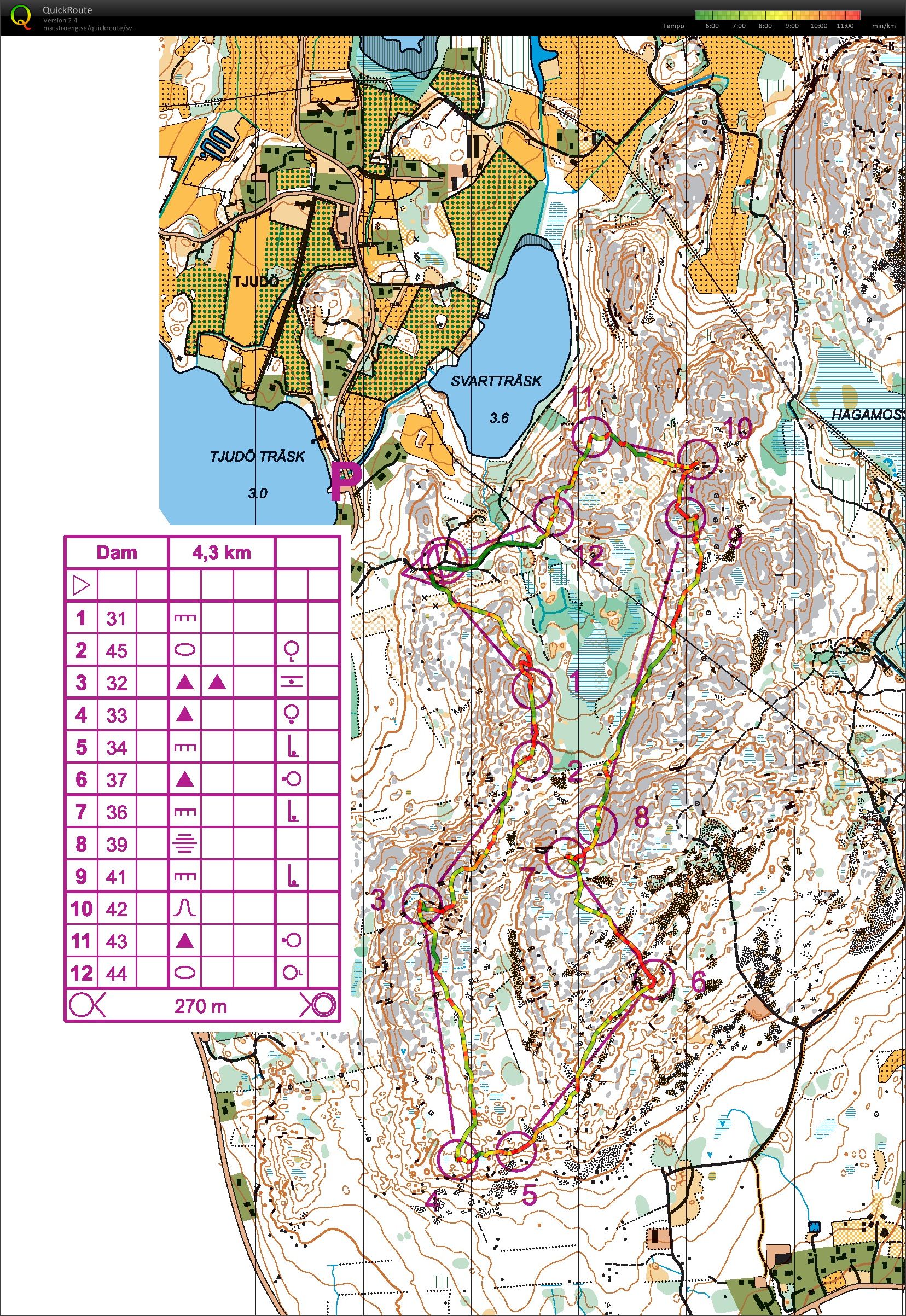 Pass 3 olgy-läger "Lägermästerskap" (2015-05-31)