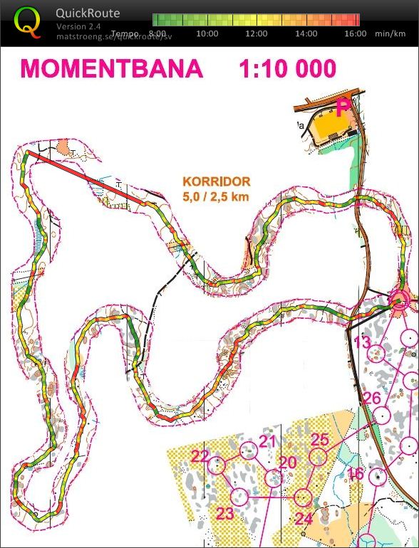 Träning 4 ol-gy-läger - Momentbana  (31-05-2015)