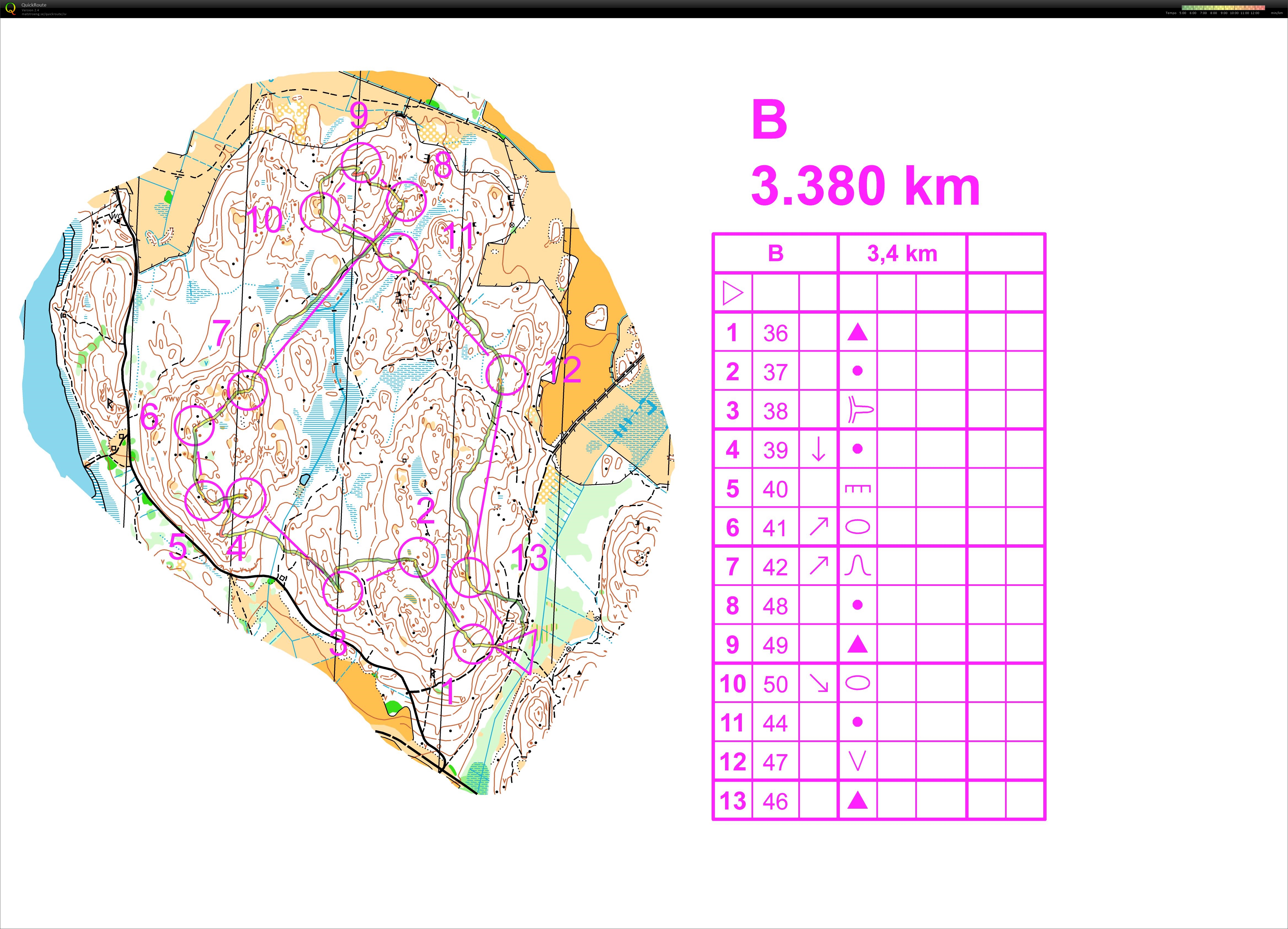 Tisdagsträning - Slinga B (28-07-2015)